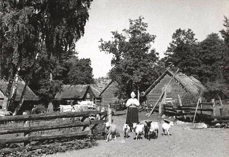 File:Ruhnu saar 1943 [Tallinna Linnamuuseum 10241-8_www.muis.ee].jpg